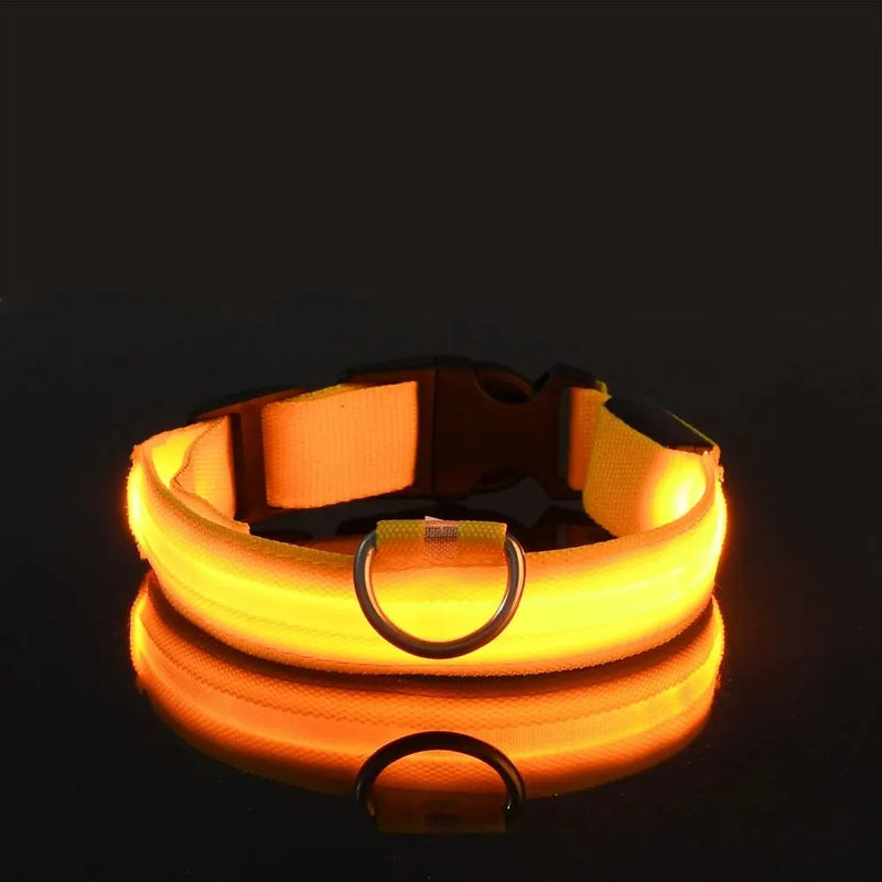 Guia e Coleira para Cães com LED e Fosforescente