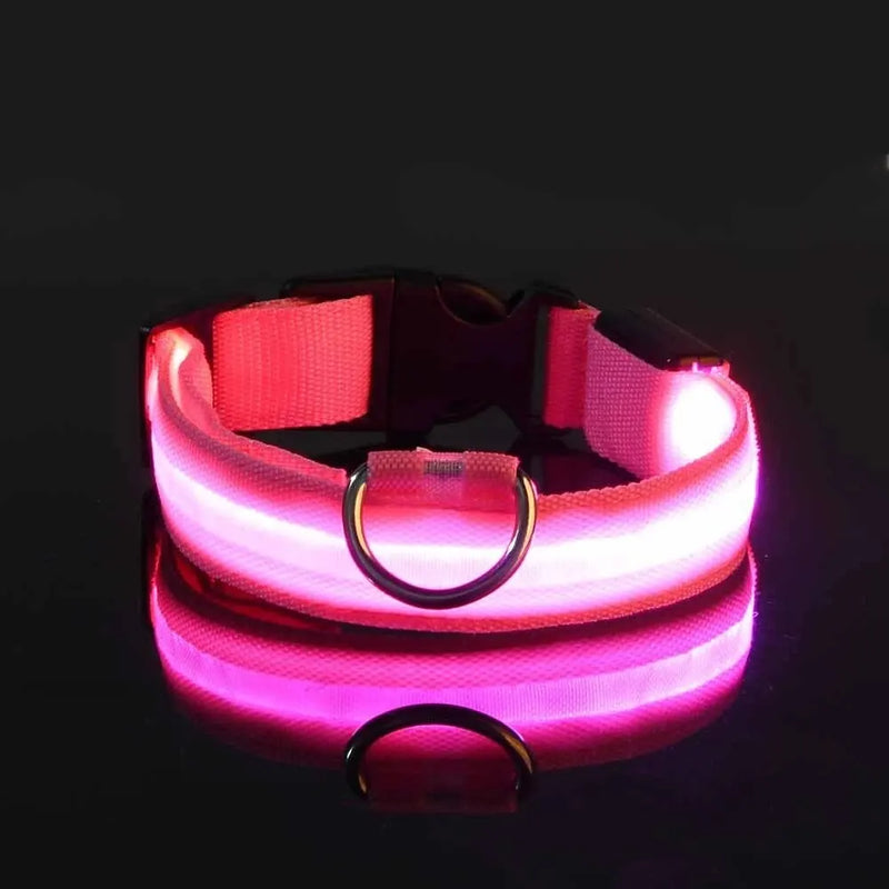 Guia e Coleira para Cães com LED e Fosforescente