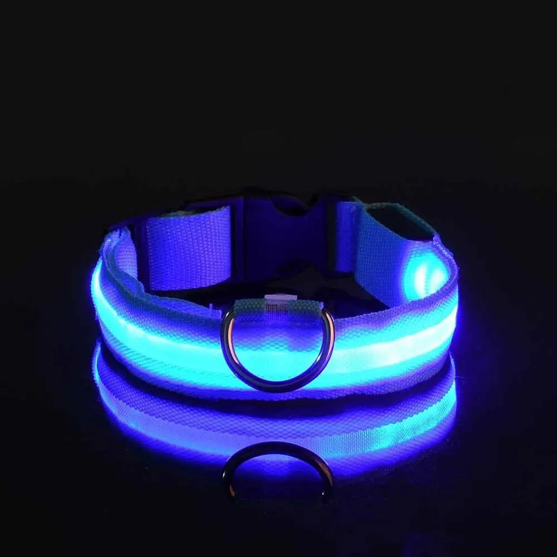 Guia e Coleira para Cães com LED e Fosforescente