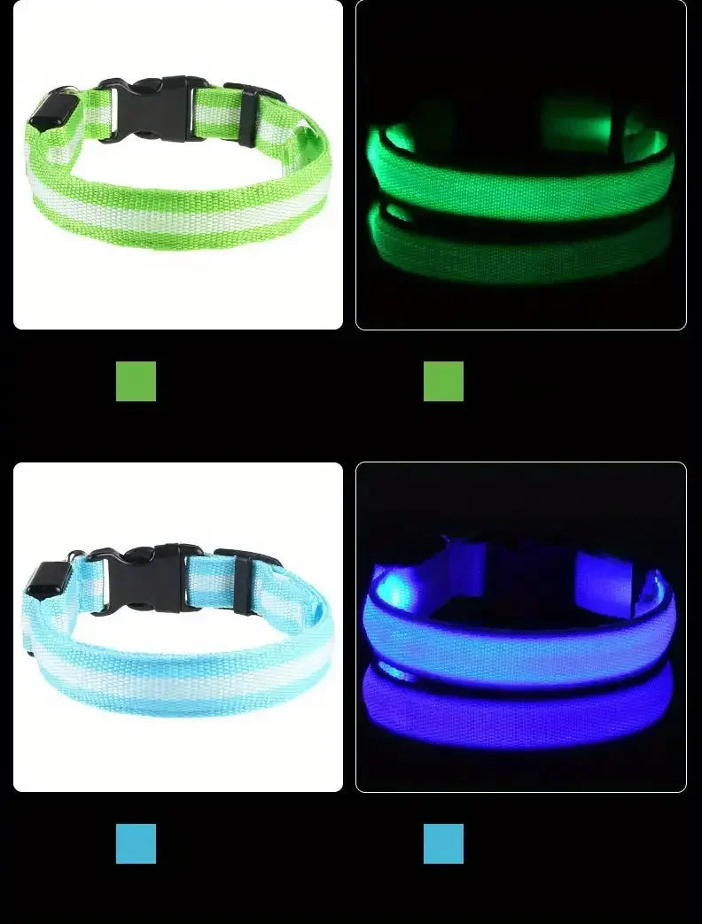 Guia e Coleira para Cães com LED e Fosforescente