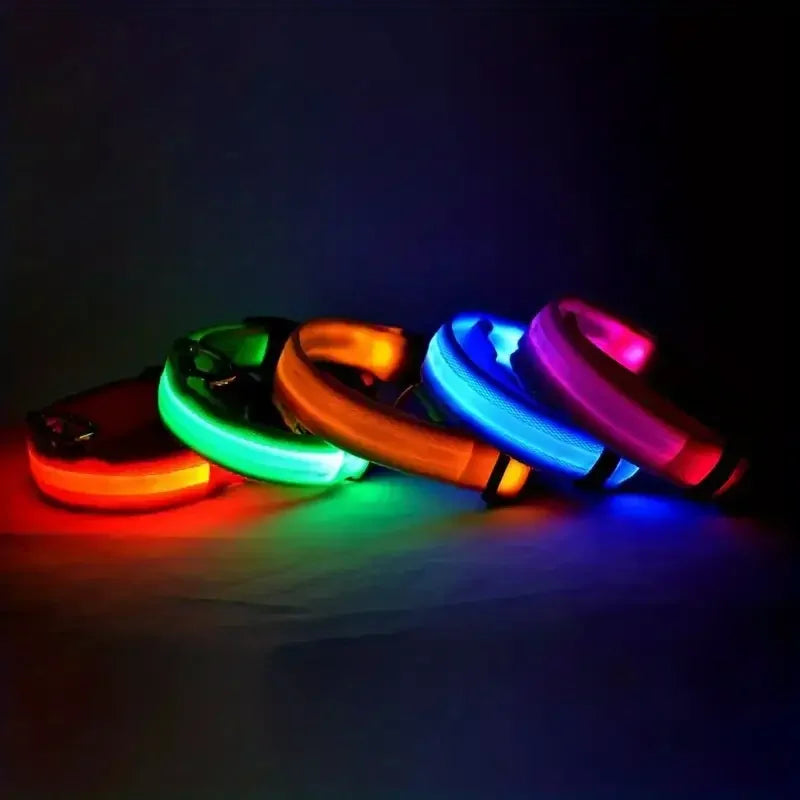 Guia e Coleira para Cães com LED e Fosforescente