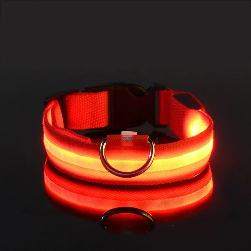 Guia e Coleira para Cães com LED e Fosforescente