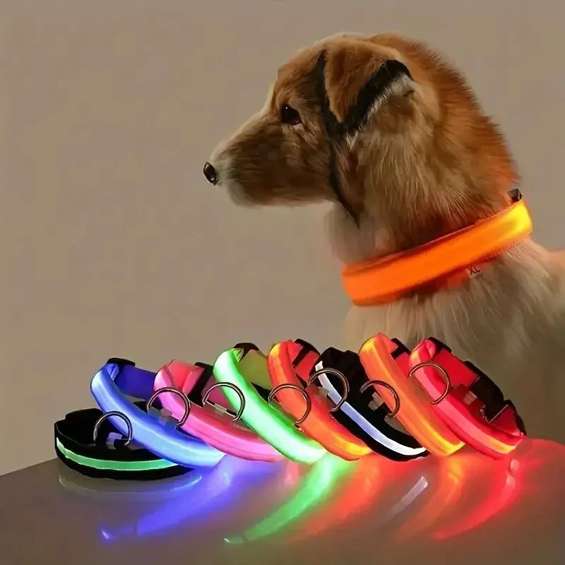 Guia e Coleira para Cães com LED e Fosforescente