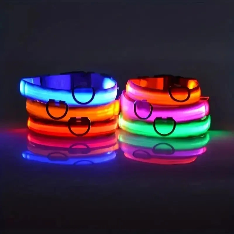 Guia e Coleira para Cães com LED e Fosforescente